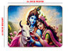 Divine Sparkle of Radha Krishna crystal wall art painting